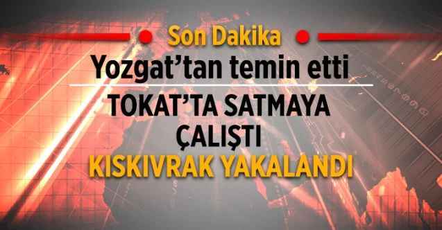 Yozgat'tan temin ettiği silahları tokat'ta satacaktı