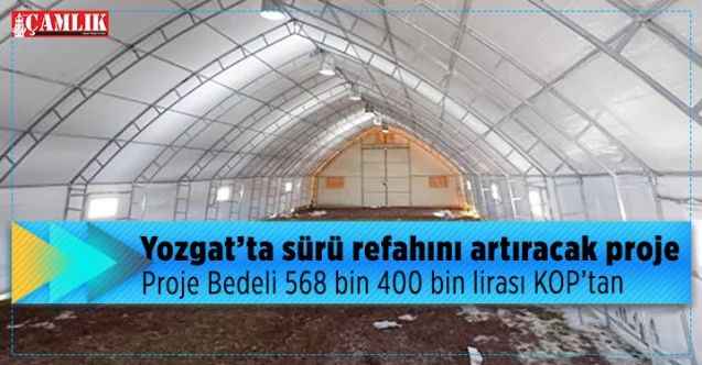KOP Bölgesinde Sürü Refahını Arttırma Projesi ile Yozgat’ta sürü refahı artacak : Proje Bedeli 568 bin  400 bin lirası KOP’tan
