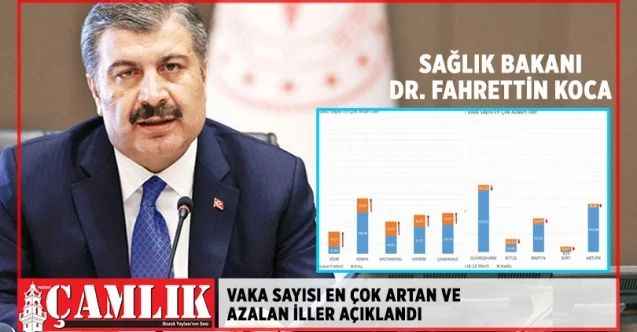 Bakan Koca, Vaka sayısı en çok artan illeri açıklandı