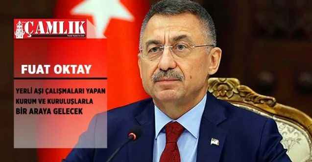 Cumhurbaşkanı Yardımcısı Oktay, yerli aşı çalışmaları yapan kurum ve kuruluşlarla bir araya gelecek
