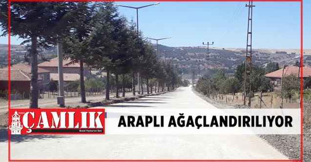 Araplı Beldesi Ağaçlandırılıyor. Başkan Ertuğrul Vatandaşlarına İlan Etti