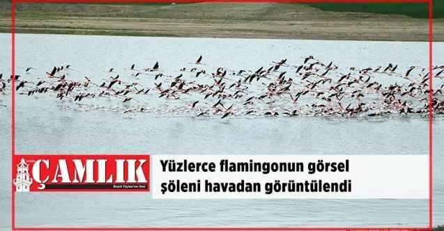Yozgat'ta Yüzlerce flamingonun görsel şöleni havadan görüntülendi