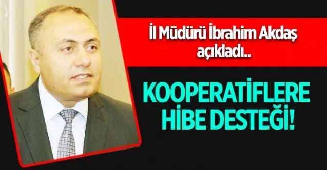 Kadın kooperatiflerine hibe desteği