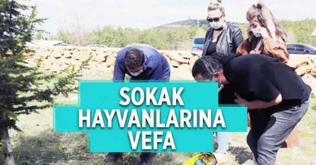 Yozgat'ta tam kapanma döneminde sokak hayvanları unutulmadı