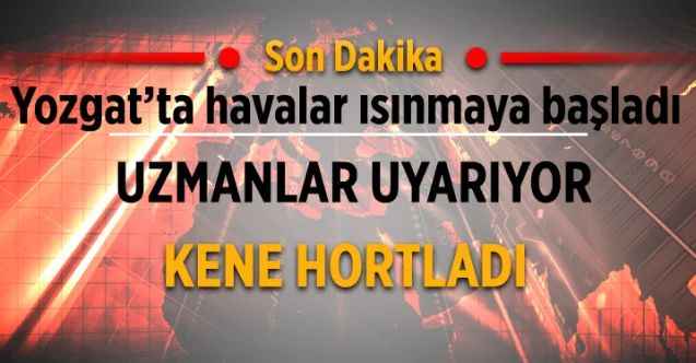 Yozgat’ta havalar ısınmaya başladı  KENE HORTLADI