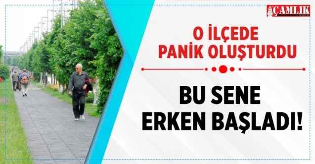 Yozgat'ın Sorgun İlçesinde kene paniği erken başladı