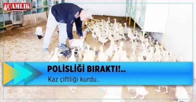 Polisliği bıraktı, köyünde kaz çiftliği kurdu