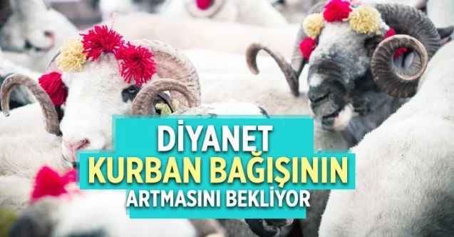 Diyanet İşleri Başkanlığı vekaletle kurban bağışının artmasını bekliyor!
