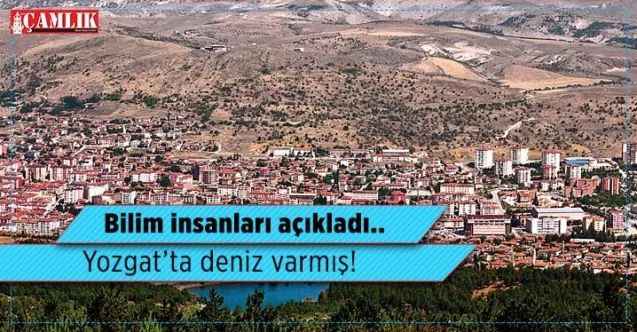 Çankırı Karatekin Üniversitesi Gıda Bölümü Öğretim Üyesi Doç. Dr. Hüdayi Ercoşkun: "Yozgat'ta deniz var"