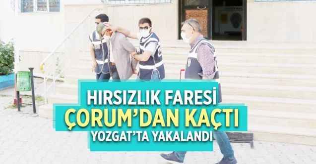 Hırsızlık faresi Çorum’dan kaçtı Yozgat’ta yakalandı