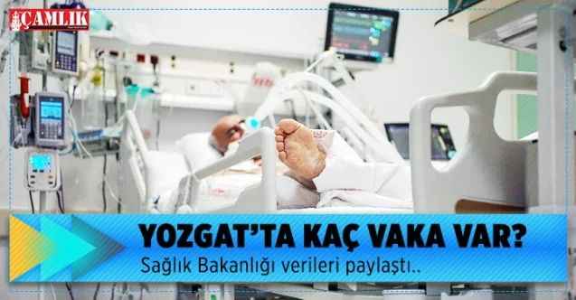 Yozgat'ta kaç koronavirüs vakası var? Sağlık Bakanlığı açıkladı