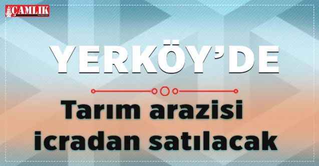 Kırşehir Çiçekdağı'nda kuru tarım arazisi icradan satılacak
