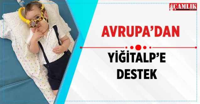 Avrupa’dan Yiğit Alp’e destek
