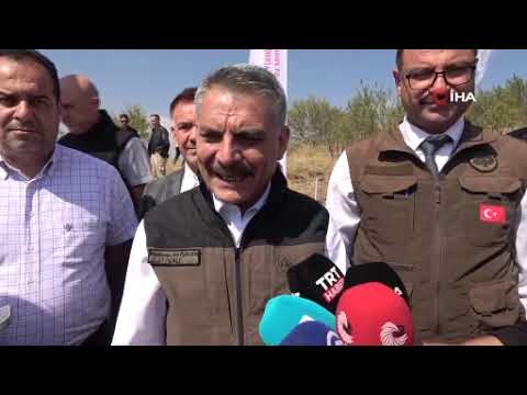 Yozgat'ta 800 kınalı keklik doğaya salındı
