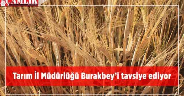 Yozgat Tarım ve Orman İl Müdürlüğü, Burakbey’i tavsiye  ediyor
