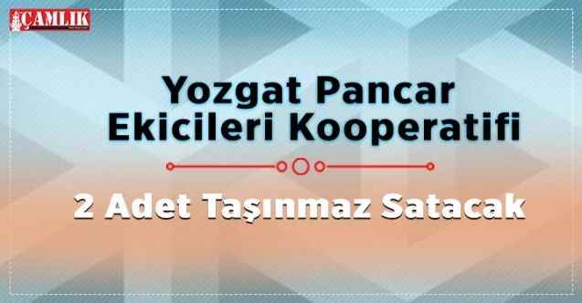 2 Adet Taşınmaz Satacak