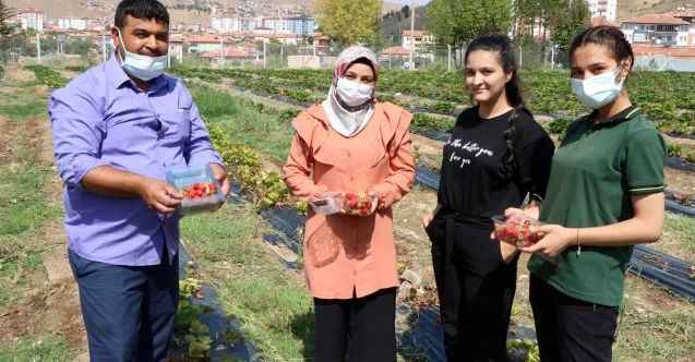Yozgat'ta İhtiyaç sahibi ailelere çilekli destek
