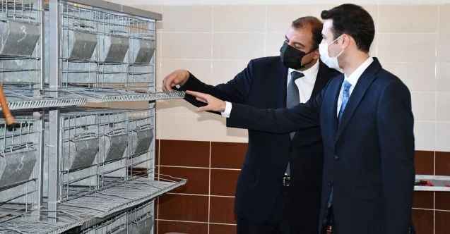 Kınalı Keklikler Yozgat'ın Saraykent İlçesi'nde  Doğaya Salınacak