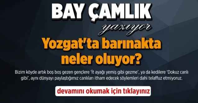 Yozgat'ta barınakta neler oluyor?