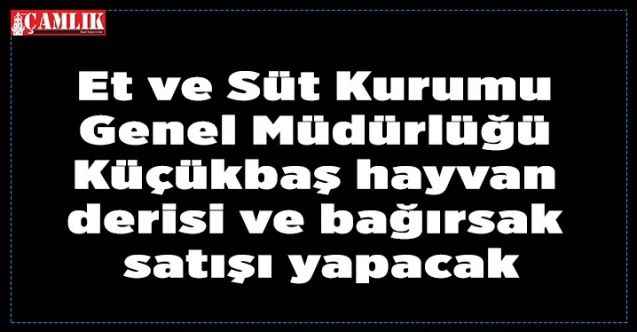 Et ve Süt Kurumu Genel Müdürlüğü Küçükbaş hayvan derisi ve bağırsak satışı yapacak