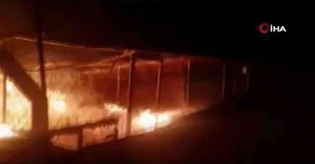 Ankara’da Sokak hayvanlarına ait barınakta yangın!
