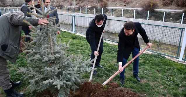 Yozgat’ın Saraykent İlçesi yeşile bürünecek