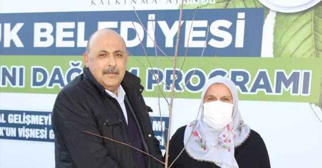 Çubuk'ta çiftçilere vişne fidanı dağıtıldı