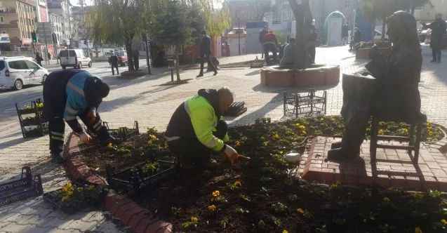 Pursaklar rengârenk kış çiçekleri ile güzelleşiyor