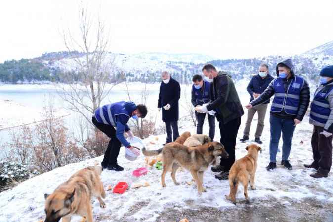 Kahramankazan Belediyesinden Örnek Davranış