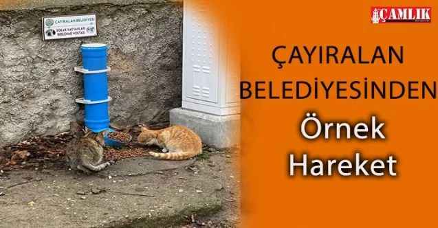 Çayıralan Belediyesinden Örnek Hareket