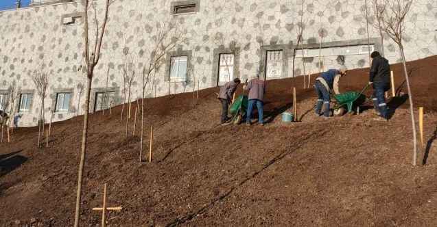 Keçiören’de Ağaçlandırma Çalışmaları Aralıksız Devam Ediyor