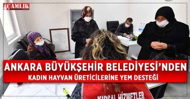Mansur Yavaş Duyurdu: ABB’den Hayvan Yetiştiricisi Kadınlara Destek