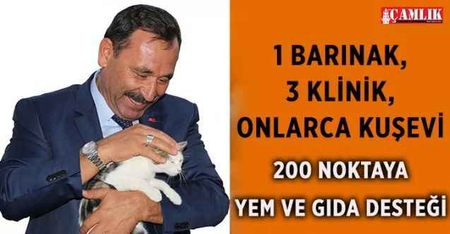 Etimesgut Belediyesi Yılda 2 Bin Sokak Hayvanına Hizmet Veriyor