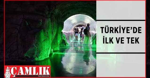 Keçiören’de Öğrenciler Su Altı Canlılarını Öğreniyor