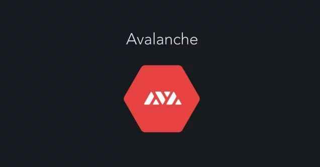Yeni Dönem İmkanı Avalanche Ağı