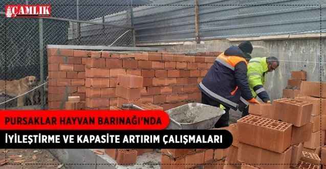 Pursaklar Hayvan Barınağı'nda İyileştirme Çalışmaları