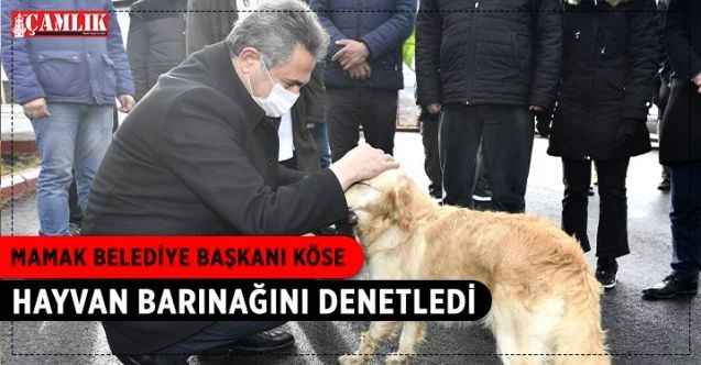 Mamak Belediye Başkanı Köse Hayvan Barınağını Denetledi