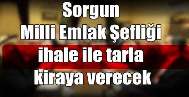 Sorgun Milli Emlak Şefliği ihale ile tarla kiraya verecek