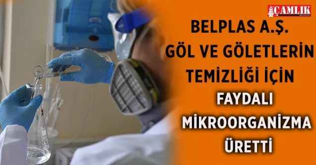 Belplas A.Ş. Göl Ve Göletlerin Temizliği İçin Faydalı Mikroorganizma Üretti