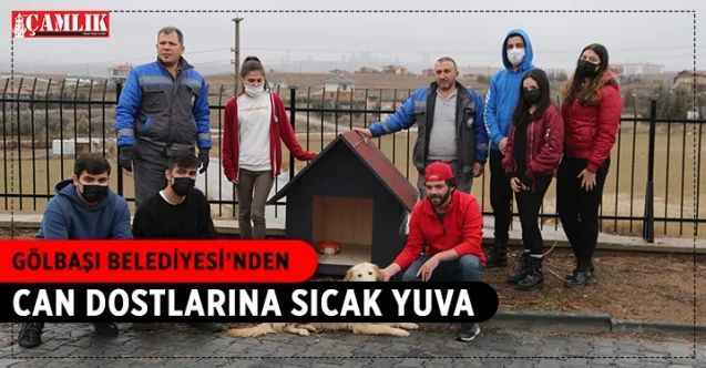 Öğrenciler İstedi Gölbaşı Belediyesi Patileri Yuvalarına Kavuşturdu…