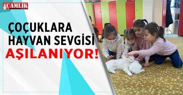 Pursaklar'da Çocuklara Hayvan Sevgisi Aşılanıyor