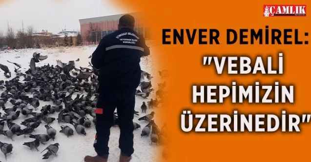 Başkan Demirel, karda su ve yiyecek bulamadığı için ölen hayvanlara dikkat çekti