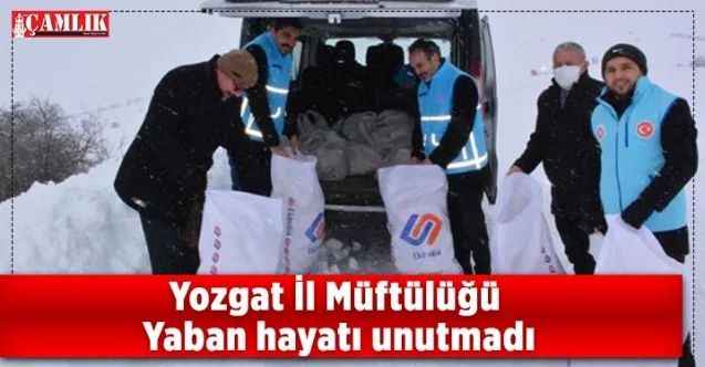 Yozgat İl Müftülüğü Yaban hayatı unutmadı