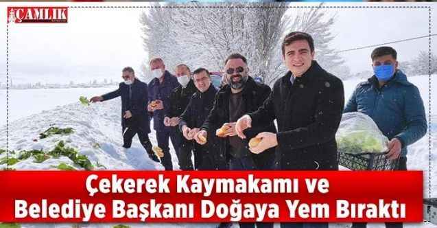 Çekerek Kaymakamı ve belediye Başkanı Doğaya Yem Bıraktı