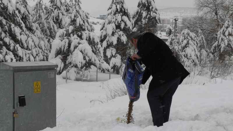 Gimat Sokaktaki Canlıları Unutmadı