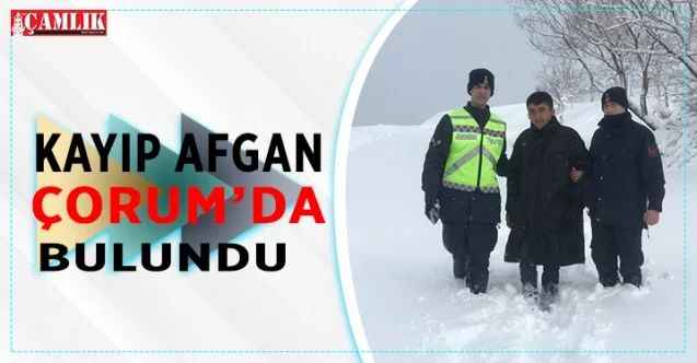 Kayıp Afgan, jandarma ekipleri tarafından Çorum'da bulundu