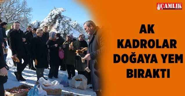 AK Parti Yozgat İl Başkanlığı tarafından yaban hayatı için doğaya yem bıraktı