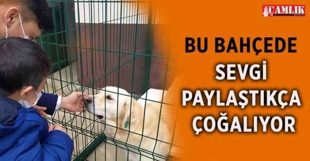 Sincan Belediyesi, Çevre Koruma ve Kontrol Müdürlüğü Ana Hizmet Binasının bahçesinin bir kısmını Sevgi Bahçesi’ne dönüştürdü