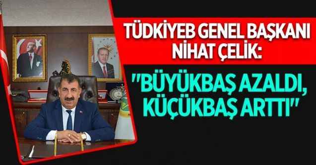 Türkiye Damızlık Koyun Keçi Yetiştiricileri Merkez Birliği Genel Başkanı Nihat Çelik, "Büyükbaştan küçükbaşa dönüş var" dedi