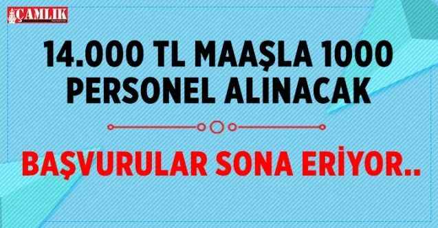 THY 1000 personel alacak başvurular sona eriyor..